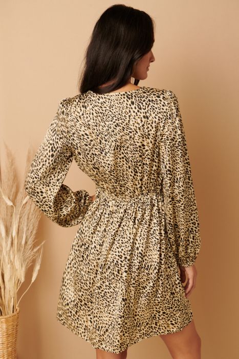 Animal Print Dress