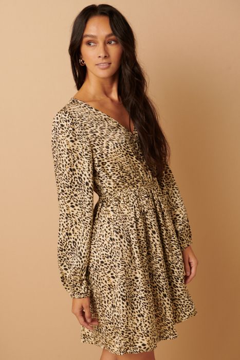 Animal Print Dress