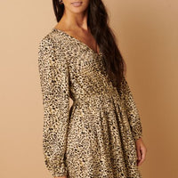 Animal Print Dress